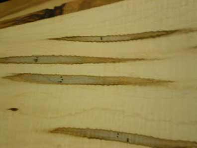 Curly Ambrosia Maple Boards